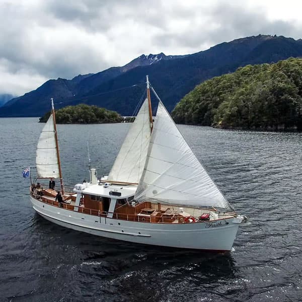 Lago Te Anau: Crucero de 3 horas con caminata guiada por la naturaleza