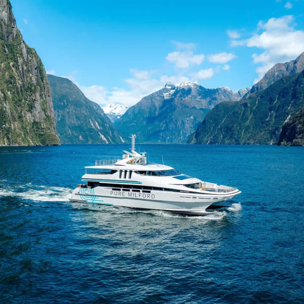 Croisière à Milford Sound à bord d'un catamaran