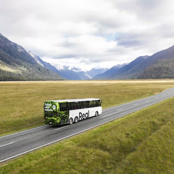 Excursion d'une journée avec croisière à Milford Sound au départ de Te Anau