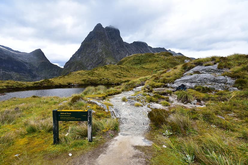 Clinton Valley on the Milford Track