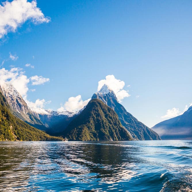 Faune de Milford Sound