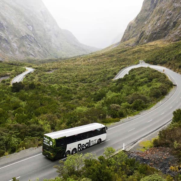 Desde Queenstown: visita de un día en autobús y crucero a Milford Sound