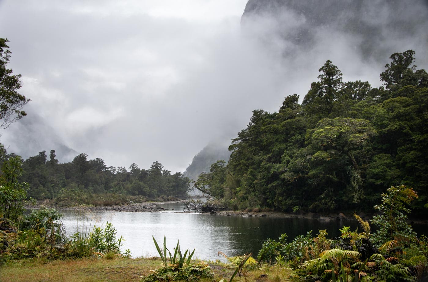 Clima en Milford Sound