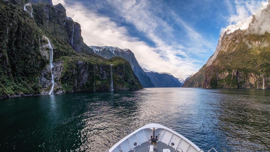 Wildlife at Milford Sound
